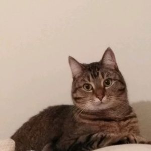 Meet your Posher, Mady